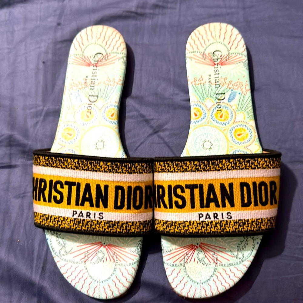 DIOR IN LIGHTS D-WAY slide sandal printed